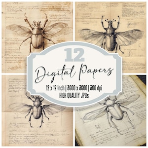 12x Sketch Beetle Junk Journal Paper Insetto alato Carta digitale Confezione Carta per scrapbooking vintage JPG di alta qualità Texture rovinata