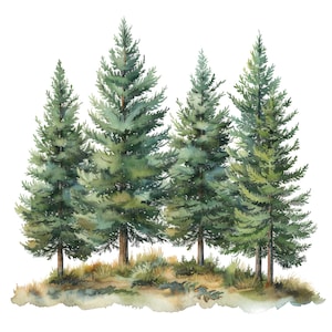 12 cliparts forêt de pins, arbres à feuilles persistantes Clipart, clipart aquarelle forêt imprimable, créations en papier, art mural, téléchargement numérique, journaux indésirables