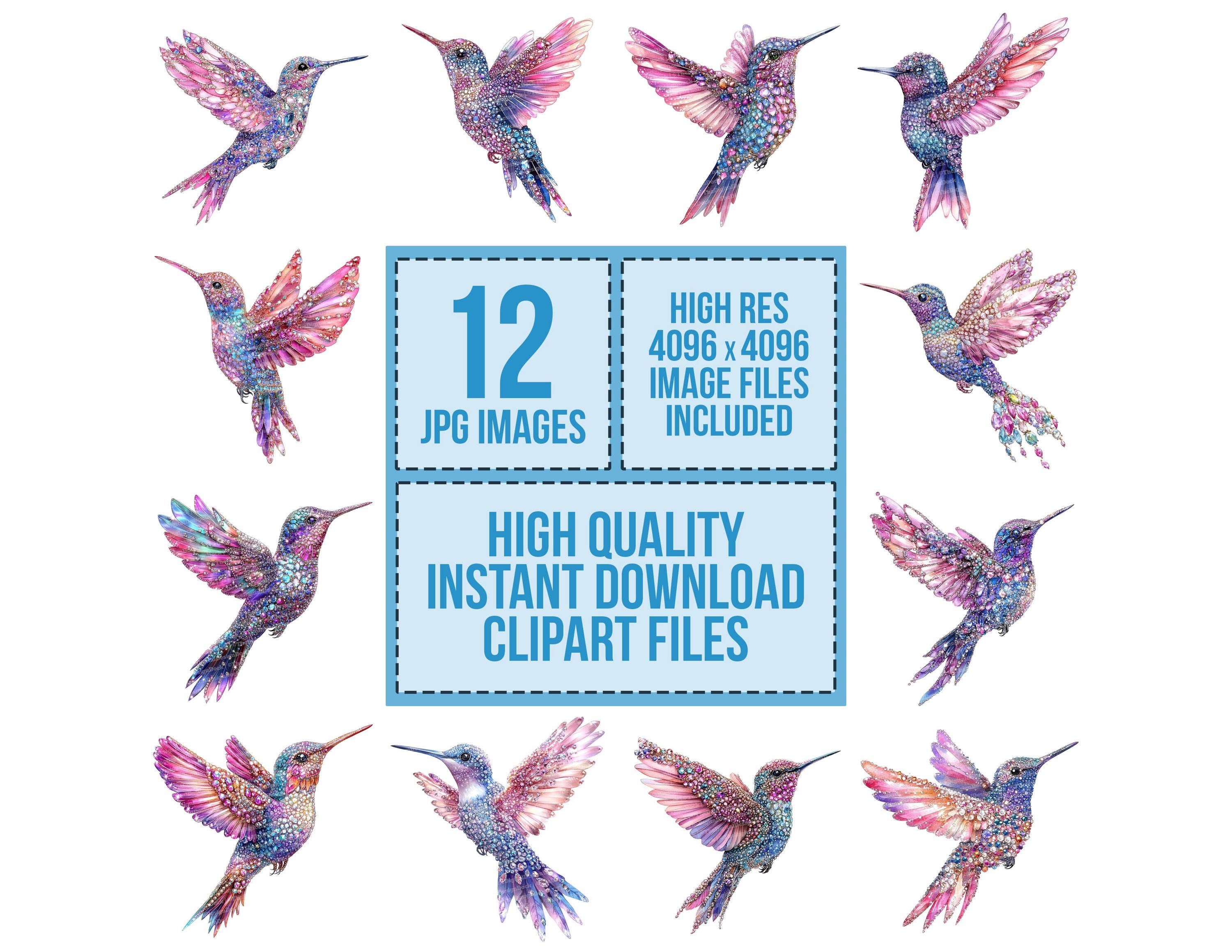 Jeweled Hummingbird Clip Art, 12x Watercolor Hummingbird With Gems ...