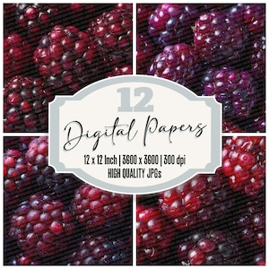 Op de afbeelding: Een digitale print met een collage van bramen in tinten rood en paars. De afbeelding bevat de tekst "12 Digital Papers" en specificeert afmetingen van 12 x 12 inch en 300 dpi, wat duidt op JPG's van hoge kwaliteit.