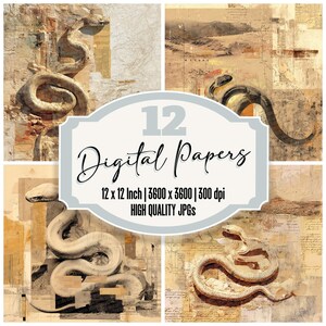 Paquete de 12 papeles digitales abstractos de desierto con diseño de serpiente, archivos JPG de alta calidad, textura desgastada, para álbum de recortes, descarga digital