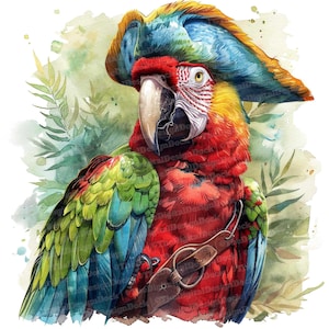 Clipart de papagaio pirata, 12 JPGs, clipart de chapéu de pirata, clipart de aquarela para impressão, artesanato em papel, arte de parede, download digital, diários de lixo