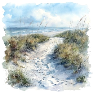Clipart chemin des dunes de sable, 12 fichiers JPG, promenades côtières, clipart aquarelle imprimable, art mural, téléchargement numérique instantané, journaux indésirables, graphiques
