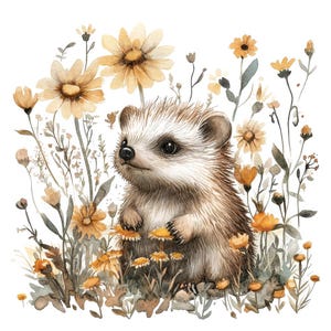12 hérisson en fleurs PNG Clipart, illustration aquarelle de la faune mignonne, clipart imprimable, téléchargement PNG/JPG de haute qualité, créations en papier