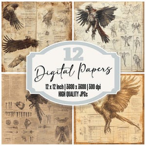 12 x Phoenix-diagram ongewenste dagboekpapier Fantasy digitaal papierpakket hoge kwaliteit JPG's perkamenttextuur Scrapbook papier Grimoire downloaden