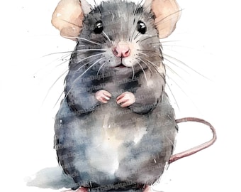 Rat Clip Art, 12x Watercolor Pet Rat Clipart Set, Printable Rat Art, Digital Download, Paper Crafts, Junk Journal, Scrapbook Images