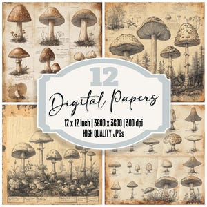 May include: Twelve digital papers featuring vintage illustrations of mushrooms in various sizes and styles. The papers are 12 inches by 12 inches and have a resolution of 3600 by 3600 pixels at 300 dpi. The papers are high quality JPGs.