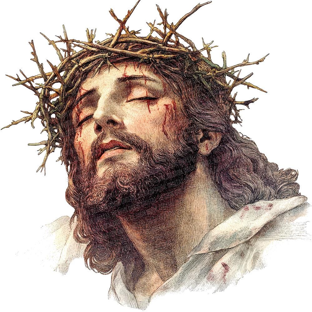 Jesus Crown of Thorns PNG Clipart, 12x Watercolor Religious Art Clip ...