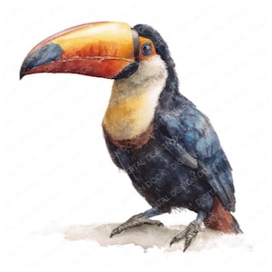 May include: Watercolor illustration of a toucan bird. The bird has a large, colorful beak with orange, yellow, and blue hues. Its body is a mix of dark blue and black, with a yellow chest and a touch of red near the tail. The toucan is perched on a white surface.
