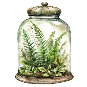 12x Clipart de terrário de aquarela, samambaia em jarra de vidro PNG, clipart para impressão, download digital, scrapbooking, criação de cartões, arte botânica