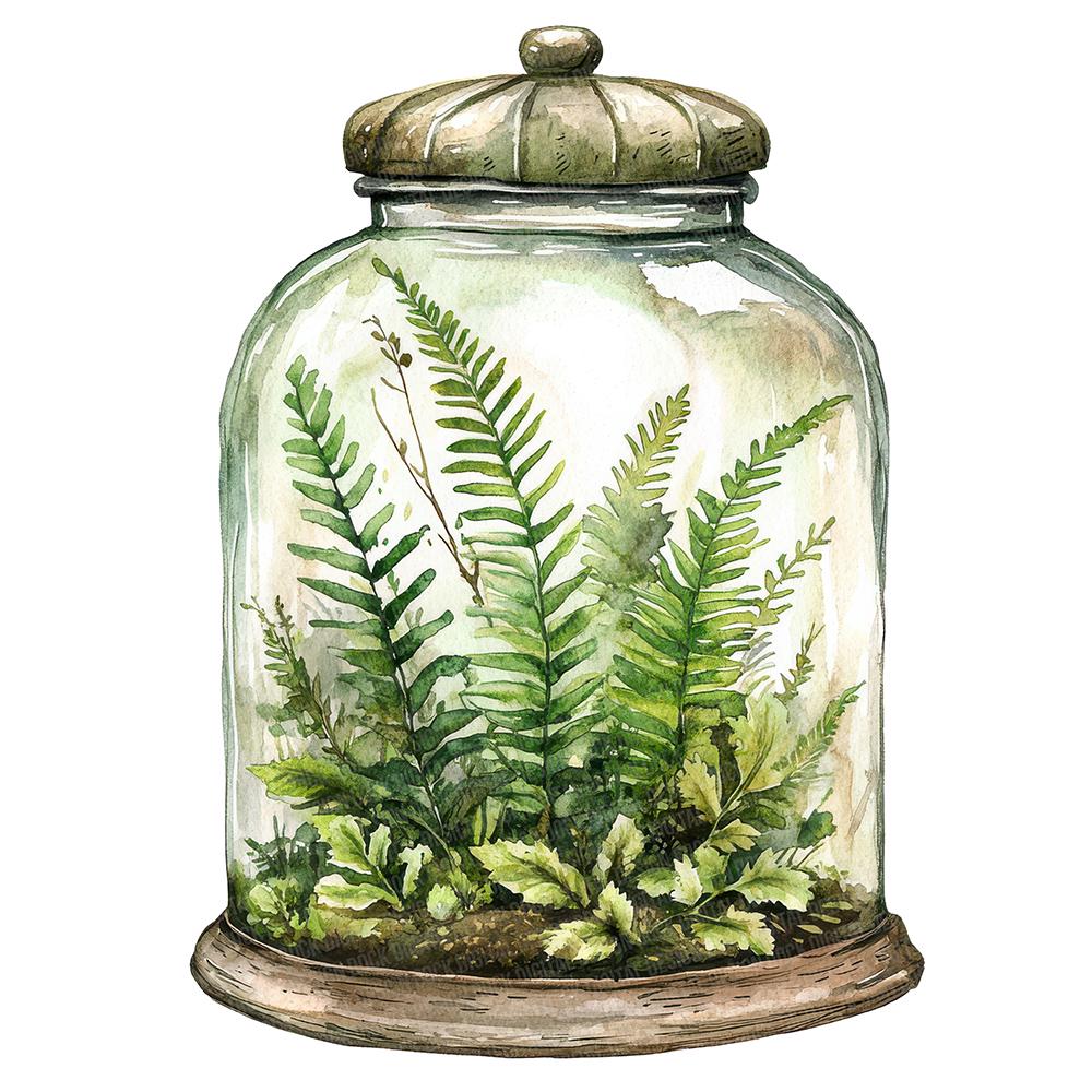Farn terrarium - Etsy.de