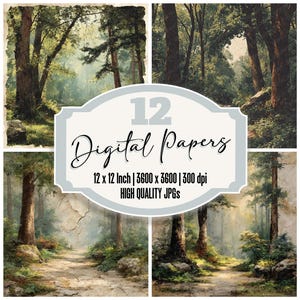 May include: A collection of 12 digital papers featuring forest scenes. Each image showcases a path winding through a sunlit forest with tall trees and lush greenery. The text on the image reads "12 Digital Papers".