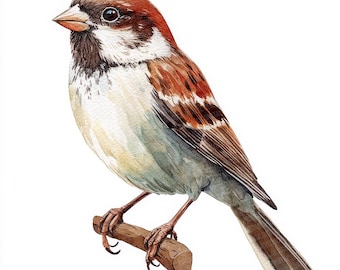 Imágenes prediseñadas de gorrión en formato PNG, conjunto de 12 imágenes prediseñadas de aves en acuarela, gorrión imprimible en formato PNG, descarga digital de alta calidad, manualidades con papel, arte para diarios creativos.