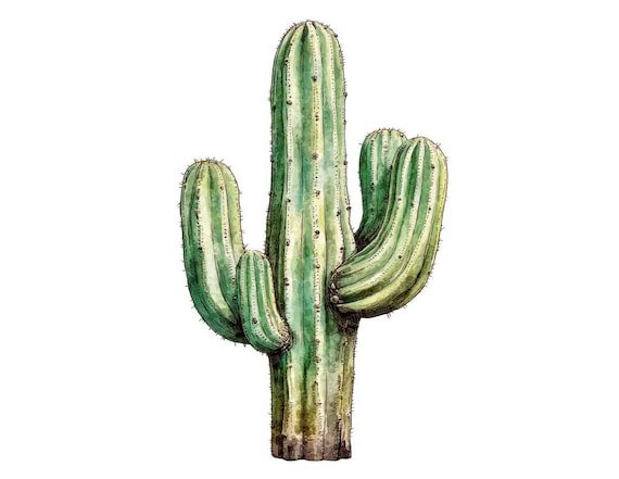 12x Watercolour Cactus PNG Clipart, Desert Plant Clip Art Set, Printable Succulent Watercolor Clip Art, Digital Download, Transparent PNG