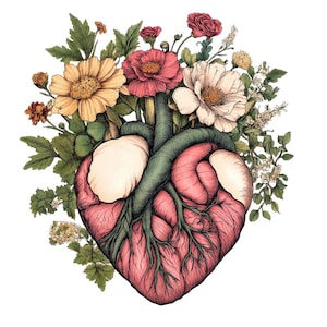 Clipart PNG de corazón anatómico, conjunto de 12 imágenes prediseñadas de corazón de acuarela floral, anatomía artística imprimible, manualidades de papel, descarga digital, revistas