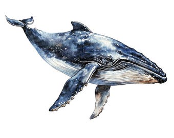 クジラと海の生き物たち手描き il_340x270.6582064098_9r1e.jpg