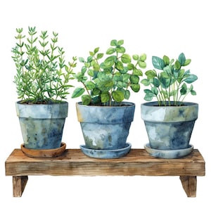 Imágenes prediseñadas de jardín de hierbas, set de 12 imágenes prediseñadas de plantas de cocina en maceta, arte de acuarela imprimible, descarga digital, PNG transparente, decoración de estilo rústico