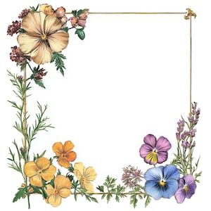 Pressed Flower Frame PNG Clipart, 12x Botanical Border Clip Art Set, Printable Watercolor Clip Art, Digital Download, Transparent PNG