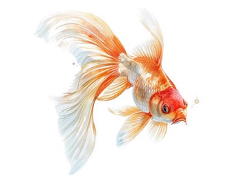 12x Watercolor Goldfish PNG Clipart, Fancy Fish with Flowing Fins Art Set, Printable Aquatic PNGs, Transparent Background, Digital Fish Art