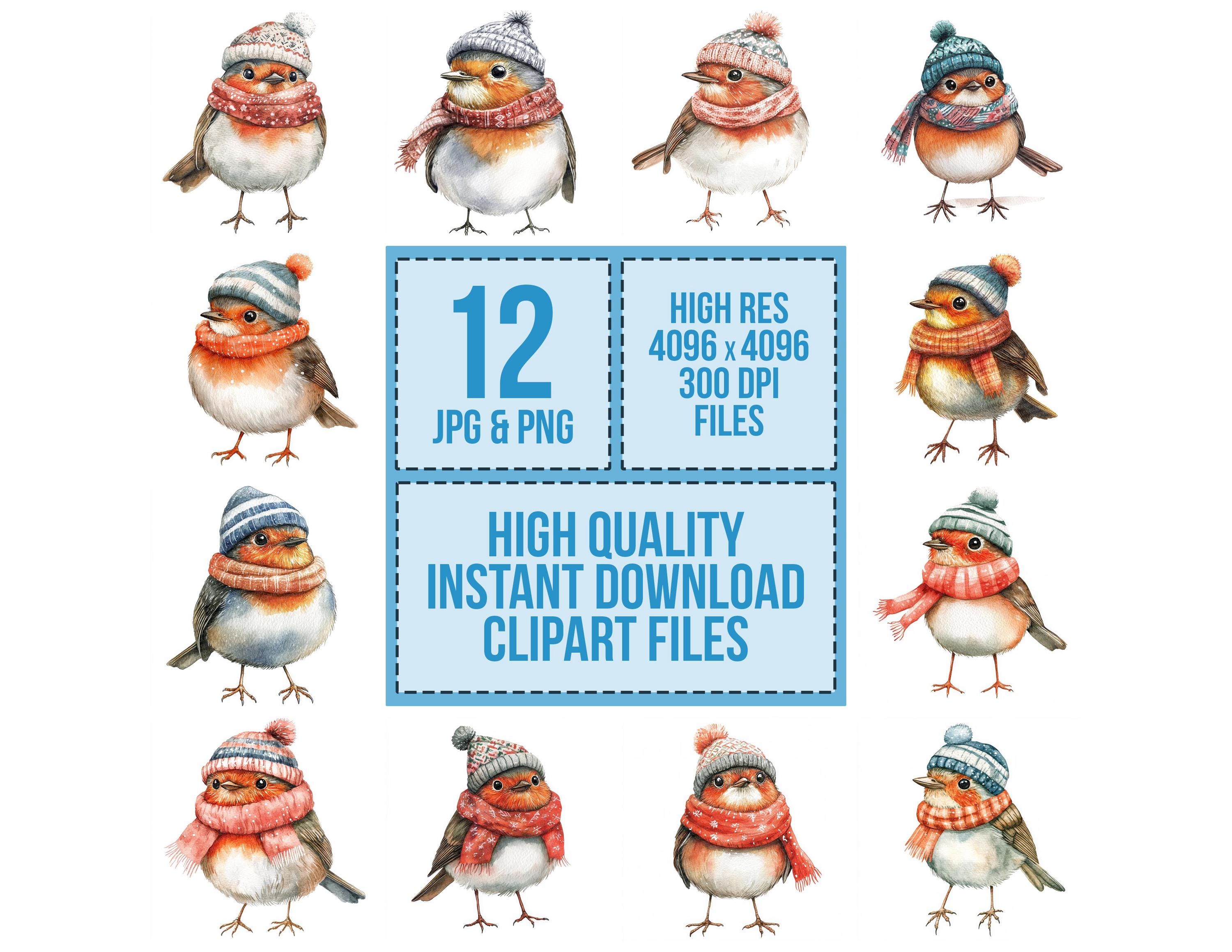 Robin Hat on PNG Clipart, 12x Winter Bird PNG Clip Art Set,christmas ...