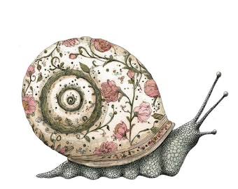 Imágenes prediseñadas de caracoles, 12 imágenes prediseñadas de caracoles de arte popular, imágenes prediseñadas de acuarela floral y de enredadera, manualidades de papel, descarga digital JPG, PNG transparente