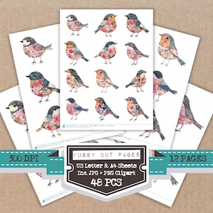 May include: Watercolor bird cutouts on white paper. The birds are in various colors, including pink, blue, and orange, with floral patterns. The image includes text that says "Fussy Cut Pages", "US Letter & A4 Sheets", and "48 PCS".