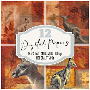 12 x kangourou indésirable journal papier Outback paquet de papier numérique arrière-plans de terrain rustique JPGs de haute qualité papier scrapbooking téléchargement numérique