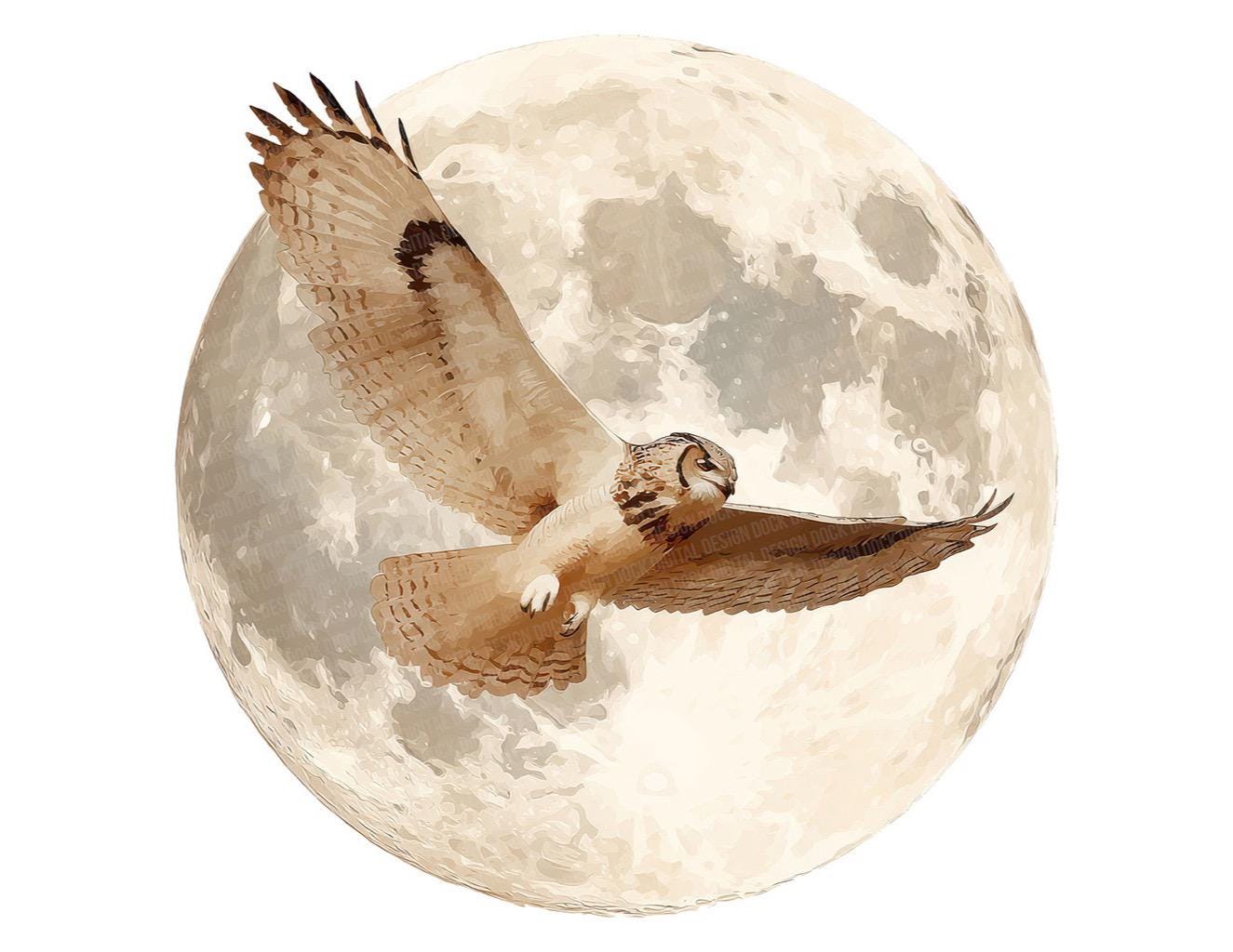 12x Moon and Owl PNG Clipart, Watercolor Night Sky Clip Art, Transparent No Background PNG, Digital 