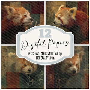 Paquete de 12 papeles digitales para diario con diseño de panda rojo, mapa del Himalaya, archivos JPG de alta calidad, textura desgastada, para álbum de recortes, descarga digital.