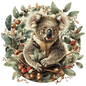 12 x vintage koala clipart, eucalyptusbeer clipart, afdrukbare aquarel clipart, kunst aan de muur, papier ambachten, digitale download, ongewenste tijdschriften