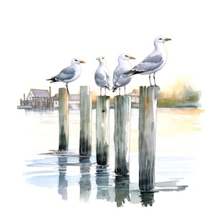Zeemeeuw clipart, 12 jpg's, meeuwen op pier berichten, afdrukbare aquarel clipart, kunst aan de muur, instant digitale download, ongewenste tijdschriften, graphics
