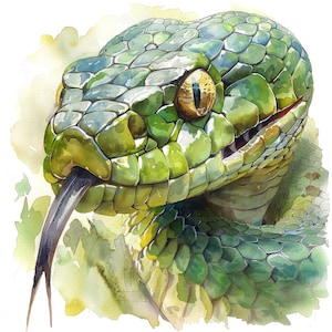 Clip art PNG de cabeza de serpiente, conjunto de 12 imágenes de reptiles en primer plano, imágenes prediseñadas de vida silvestre en acuarela para imprimir, descarga digital, PNG con fondo transparente