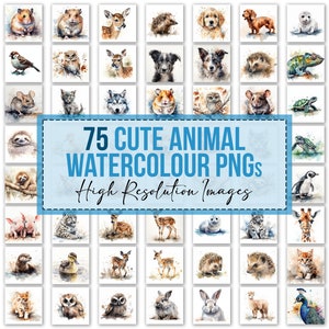 75 x aquarel schattige dieren png bulkbundel mok kussen telefoonhoes downloads digitale png-bestanden aquarel ontwerpen png-afbeeldingen