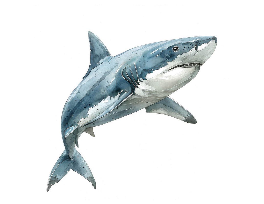 サメのPNGクリップアート、12個の海洋動物の水彩クリップアートセット