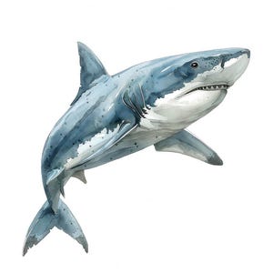 Shark PNG Clipart, 12x Ocean Animal Watercolour Clip Art Set, Printable Sea Life Illustration, Transparent Background, Digital Download, JPG