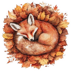 12 renard endormi PNG Clipart, illustration aquarelle de feuilles d'automne confortable, clipart imprimable, haute qualité PNG/JPG, téléchargement numérique, créations en papier