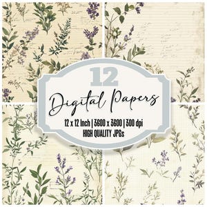 12x Carta da giornale con note di salvia e lavanda, carta digitale botanica, texture vintage, JPG di alta qualità, stampabili e scaricabili