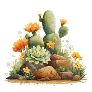May include: Watercolor illustration of a desert scene featuring cacti, succulents, and vibrant orange and yellow flowers. The image showcases a cluster of green cacti with blooming flowers, a light green succulent, and brown rocks.