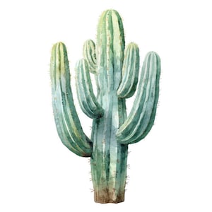 May include: Watercolor illustration of a tall, multi-branched cactus. The cactus features a green and blue-green color palette with vertical stripes. The base is a brown color, and the cactus has small, spiky details.