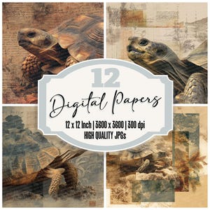 12x Carta da giornale Tortoise Junk Paper Island Terrain Carta digitale Confezione JPG di alta qualità Carta per scrapbooking con texture rovinata Download digitale