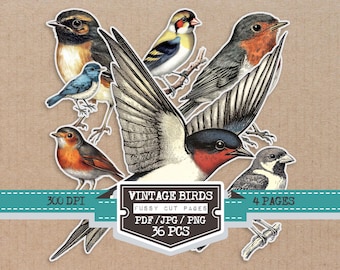 May include: A collection of vintage bird illustrations in various colors, including blue, red, and brown. The image includes a variety of bird species, with the text "VINTAGE BIRDS" and "36 PCS" on a label. The image is on a tan background.