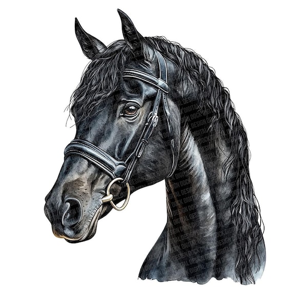 黒馬 PNG クリップアート、12 個の馬術水彩馬クリップアート セット