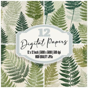 May include: A set of 12 digital papers showcasing fern leaf designs in green and white hues. The image includes text stating "12 Digital Papers", along with the dimensions and resolution of the papers.