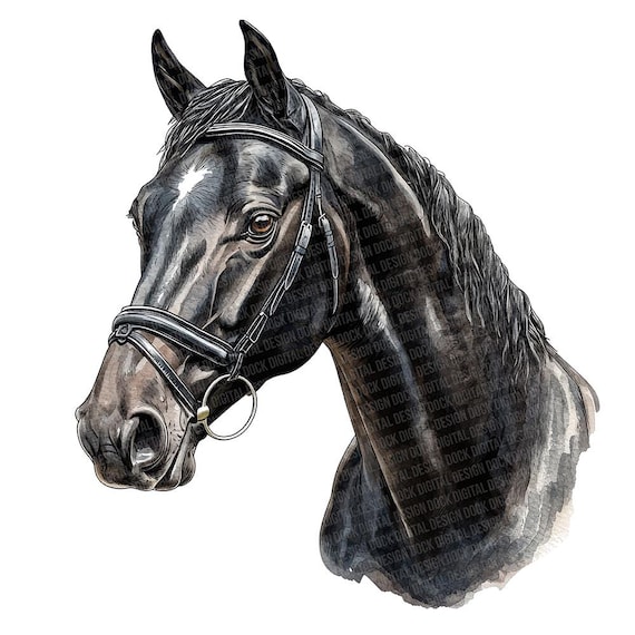 黒馬 PNG クリップアート、12 個の馬術水彩馬クリップアート セット