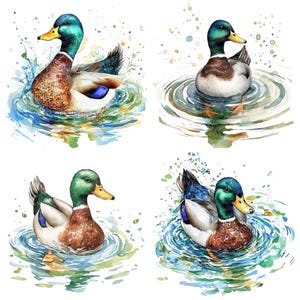 Clip Art di anatra selvatica, set di 12 clipart di anatre acquerellate, clip art di animali selvatici stampabili, lavoretti di carta, download digitale, pacchetto di diario spazzatura