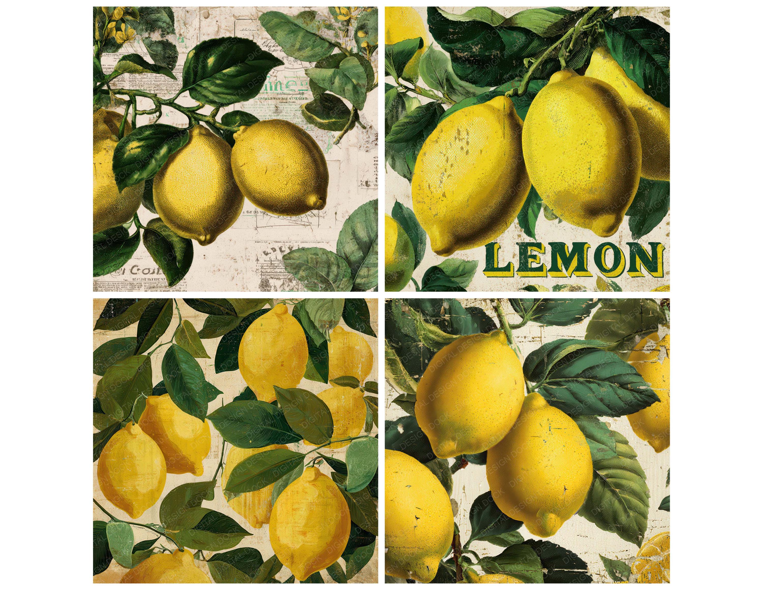 12x Vintage Lemon Junk Journal Paper Citrus Fruit Label Digital Paper ...
