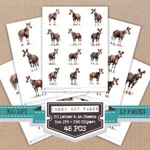 May include: A collection of fussy cut pages featuring watercolor illustrations of okapi. The pages include 48 pieces and are available in US Letter and A4 sheets. The image also includes the text "300 DPI" and "12 PAGES".