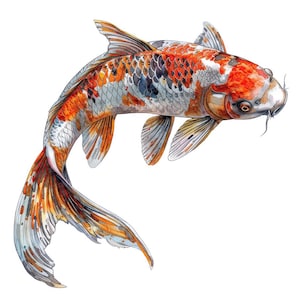 Images de carpes koï, ensemble de 12 illustrations de jardin aquatique japonais, aquarelles à imprimer, PNG à fond transparent, téléchargement numérique, loisirs créatifs en papier