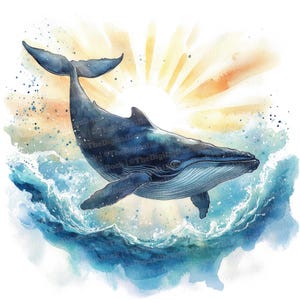 12x Ozean Wal Clipart, Aquarell Marine Leben Kunst, hochwertige JPGs, Digital Download, Kartenherstellung, digitale Papiere, Aquarell Clipart