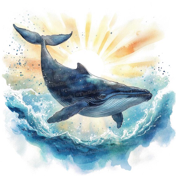 12x 海のクジラのクリップアート、水彩画の海洋生物アート、高品質の